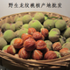 夢(mèng)君宸龍紋桃核散籽 秦嶺山桃胡原籽正圓金魚(yú)肚手串 青皮 同樹(shù)龍紋手串原料250g（非正圓）