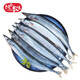 純色本味 冷凍精品俄羅斯秋刀魚凈重2斤 燒烤食材 生鮮魚類
