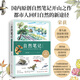 自然筆記：開啟奇妙的自然探索之旅（全新增訂版）快樂讀書吧 暑期必讀課外閱讀