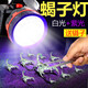 康銘LED蝎子燈白光紫光雙光源強(qiáng)光專照蝎子捉蝎子燈抓蝎子燈頭戴頭燈 康銘180s蝎子燈+鑷子