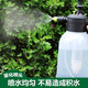 德沃多噴壺澆花園藝高壓噴水壺噴霧器氣壓式花卉盆栽家用工具酒精消毒 噴壺2L透明色