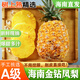 譯優(yōu)農(nóng)海南金鉆鳳梨新鮮熱帶水果黃金菠蘿手撕鳳梨當(dāng)季現(xiàn)摘超甜臺農(nóng)17號 金鉆鳳梨5斤【2-3個】削皮即食