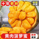 探味君 海南黃肉菠蘿蜜 一整個(gè)當(dāng)季特產(chǎn)木波羅蜜菠蘿蜜新鮮水果生鮮帶箱 【推薦裝】18-24斤
