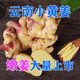 采緹（CAITI）采緹（CAITI）云南小黃姜文山黃姜食用小黃姜月子姜 5斤【小黃姜】 精選小黃姜（高原種植）