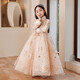兒童公主裙女童蓬蓬裙高端連衣裙小眾加絨加厚秋冬款鋼琴演出禮服 淡粉色加絨長(cháng)款 130