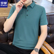 羅蒙（ROMON）復古T恤男純色冰絲涼感短袖夏季款商務(wù)休閑polo透氣上衣夏裝汗衫 海洋綠 XL