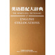 英語搭配大辭典(精)