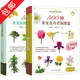 【包郵】彩圖典藏版500種常見(jiàn)花卉識別圖鑒 500種常見(jiàn)園林植物識別圖鑒 300種芳香植物識別圖鑒 花卉識別園林植物圖鑒全兩冊