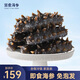 宮壹大連即食海參1斤15-25只 固形物超75%底播刺參鮮活海參加工免泡發(fā)