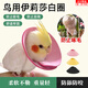 榮花施鸚鵡鳥用伊麗莎白圈防啃咬打架羽毛受傷保護(hù)項圈啄毛鳥用咬毛脖套 鸚鵡項圈【粉色中號】