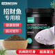 BESSN招財(cái)魚飼料專用戰(zhàn)船魚食大顆粒魚料大型抗病防爛身地圖魚糧 5mm大顆粒招財(cái)魚專用健康靚鱗 約540g