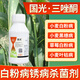 國光20%三唑酮銅粉銹寧乳油花卉苗木草坪多肉月季薔薇繡球玫瑰果樹(shù)花椒銹病白粉病黑斑病農藥殺菌劑 80ml