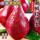 萊財多2025現(xiàn)摘紅啤梨紅皮梨啤酒梨子新鮮水果當(dāng)季水果梨子 5斤大果