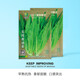 中科茂華 蔬菜種子 油麥菜生菜種子 美利堅亮劍類型油麥菜種子 20天可采摘 家庭園藝陽臺盆栽種植 無斑香油麥 油麥菜種子100克/袋