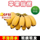 四叔公果蔬（現摘現發(fā)）福建天寶蘋果蕉 新鮮水果軟糯粉蕉小米蕉小香蕉香甜 9斤精選果