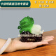 榮淘玉白菜擺件白菜擺件工藝品玉擺件辦公室客廳玄關(guān) 百財(cái)如意迷你