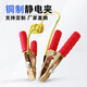 防靜電接地夾報(bào)警器夾子獨(dú)立式防靜電接地鉗接地夾 雙銅夾+5m線