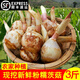 辰實(shí) 【順豐】茨菇新鮮 現挖農家白茨菇慈姑 白芽菇燕尾草 3斤