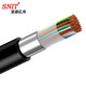 思諾億舟（SNIT） 室內室外大對數電纜 電話(huà)通信電纜 10對20對50對電話(huà)線(xiàn)語(yǔ)音線(xiàn)纜 室外大對數電話(huà)線(xiàn)0.4線(xiàn)徑 20對/1米
