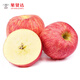 萬榮紅富士蘋果新鮮脆甜多汁應(yīng)季冰糖心孕婦水果 3斤嘗鮮裝