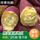 半畝莊園海南橋頭地瓜新鮮紅薯澄邁正宗富硒沙地番薯新鮮黃心板栗紅薯 5斤大果【單果100g+】