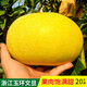 御香梅 臺州正宗玉環(huán)大文旦柚子浙江特產(chǎn)臺州楚門(mén)應當季新鮮水果 推薦精選果6-8個(gè)20斤