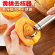 新廚仕（Necooks）挖黃桃核工具黃桃罐頭去核器挖核刀家用手動(dòng)挖胡取心工具 1個(gè)304不銹鋼款