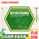 江西汪氏藥業(yè)建新復(fù)方瓜子金顆粒10袋清熱利咽咽痛急慢性咽炎藥發(fā)熱去痰祛痰止咳咳嗽藥散結(jié)止痛中成藥 1盒