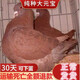 元寶鴿子特大一對超大體巨型鴿子活一對大型肉鴿種鴿活體活物幼鴿 優(yōu)質(zhì)紅色元寶青年一對