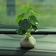 紫訊禪意汽車(chē)小擺件創(chuàng  )意荷葉車(chē)內香薰盆栽綠植銅錢(qián)草佛車(chē)載中控臺裝飾 佛