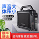得勝（TAKSTAR） WDA-500小蜜蜂擴音器教師專用老師上課無線話筒麥克風(fēng)藍(lán)牙大功率喇叭音箱 官方標(biāo)配（含1無線話筒）