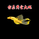黃金大胡子魚大帆紅藍(lán)眼胡子24K胡子除藻工具魚清潔魚 黃金大帆3-3.5cm2條+1條備損