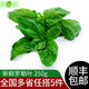 綠食者 羅勒葉250g 新鮮蔬菜 羅勒葉  西餐披薩香料調(diào)料 500g