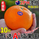 栩季（XUJI）澳洲2ph橘子網(wǎng)紅澳柑新鮮當(dāng)季蜜桔鳳凰柑甜桔子水果孕婦 3斤【特級(jí)果+超甜爆汁】