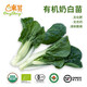 東昇有機(jī)奶白苗250g新鮮小白菜苗火鍋食材 廣州時(shí)令蔬菜配送