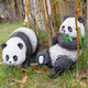 半語太陽能兔子燈戶外發(fā)光兔子防水仿生動(dòng)物燈公園造型燈庭院裝飾燈 熊貓 B款太陽能-暖光【一只】