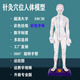 子彧（ZIYU） 硬模型 中醫(yī)經(jīng)絡(luò)圖針灸人體穴位模型全身男小人銅人純銅超清晰刻字 白色彩字版女模型（58cm）