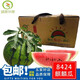 涵果 上海南匯特產(chǎn)8424黑籽西瓜頭茬瓜麒麟西瓜當(dāng)季新鮮水果現(xiàn)摘現(xiàn)發(fā) 鮮甜單個(gè)裝瓜王9-11斤