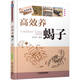 高效養(yǎng)蝎子