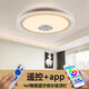 雷躍藍牙燈音樂吸頂燈led圓形音箱音響燈臥室客廳燈家用智能遙控燈具 白色+棕色 36W  帶藍牙50CM 三色光 （無遙控無APP）