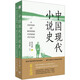 中國現(xiàn)代小說史（著名文學(xué)評論家夏志清震動中西學(xué)界的開創(chuàng)性著作，重構(gòu)中國現(xiàn)代文學(xué)史的研究格局）