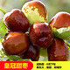 阿木木特大果棗樹(shù)苗 嫁接棗子樹(shù)苗庭院陽(yáng)臺盆栽地栽果樹(shù)苗南方北方種植 皇冠甜棗5年以上結果苗 75cm-150高度左右