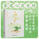 日日是好日 茶道愛(ài)好者都在讀的茶道經(jīng)典