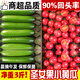 土地母親計(jì)劃 圣女果水果黃瓜小柿子千禧小西紅柿茄瓜果小黃瓜小青瓜代餐輕食 圣女果+小黃瓜 3斤 【各1.5斤】