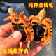 純正石金錢(qián)寵物龜小烏龜活物小青龜苗海南三線(xiàn)陸 9-10厘米 石金錢(qián) 一對公母