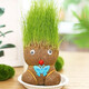 草頭娃娃遇水就活頭上長(cháng)草人小盆栽種植物澆水長(cháng)頭發(fā)迷你綠植兒童幼兒園觀(guān)察生長(cháng)禮物 1個(gè)長(cháng)草娃娃（配托盤(pán)）