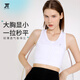 簡(jiǎn)態(tài)塑胸束胸les冰絲超平大胸顯小內衣學(xué)生夏季女拉鏈款大碼防震透氣t 白色 XXL（135-145斤）