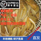 本地塘鲺魚苗三黃塘鲺胡子鯰魚塘角魚苗土塘鲺魚塘虱冬季淡水魚苗 250條4-6厘米 +35條+魚糧
