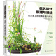 花藝設計原理與技法：花藝史上的經(jīng)典主題與樣式（花藝設計精品書籍 剖析設計原理 講解制作技巧 專業(yè)花藝師提升必備）