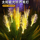 黛金太陽能蘆葦燈防水戶外led發(fā)光蘆葦燈草坪燈光纖花園燈裝飾氛圍燈 【太陽能款】暖光蘆葦燈 2支裝